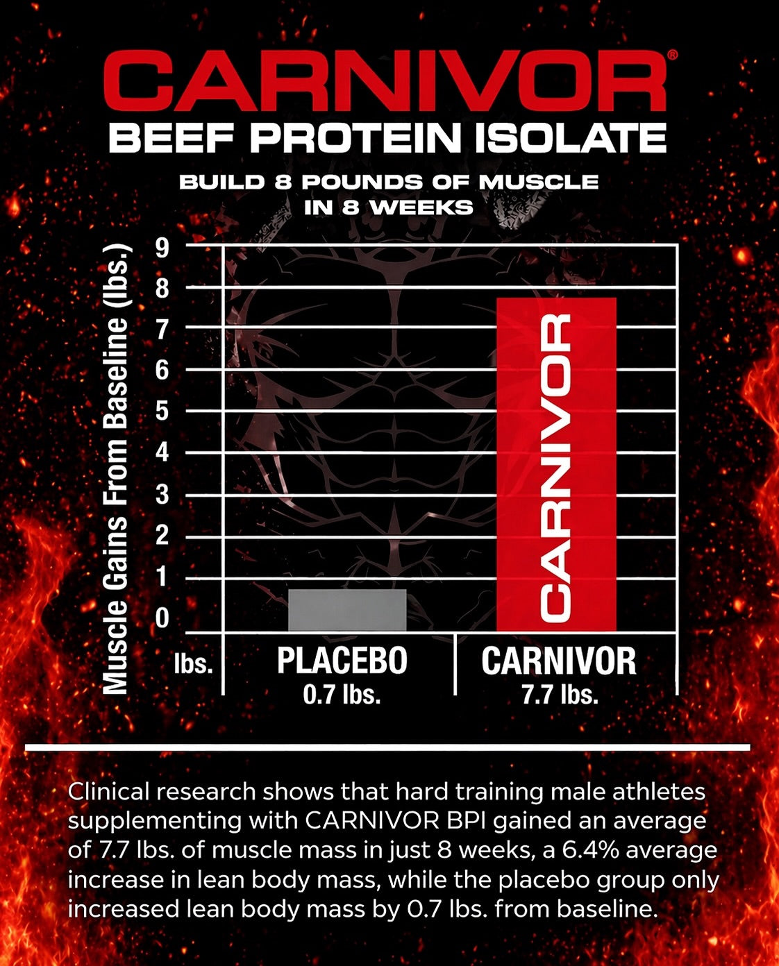 Carnivor Shred - Livefit Store